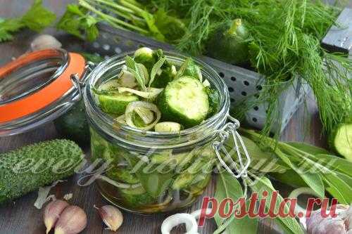 Хрустящие малосольные огурцы, меньше чем за сутки: вкуснее чем в пакете