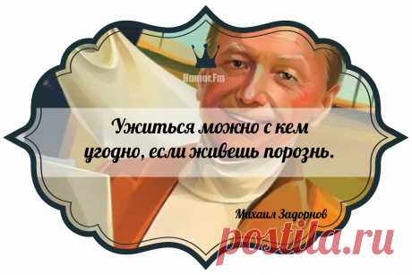 Цитаты задорнова в картинках