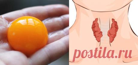 Эндокринолог: «При проблемной щитовидке обязательно каждый день съедайте минимум 1 желток».
«Состояние у тебя истерическое. Скушай, доченька, яйцо диетическое!» — старался задобрить принцессу...
Читай дальше на сайте. Жми подробнее ➡