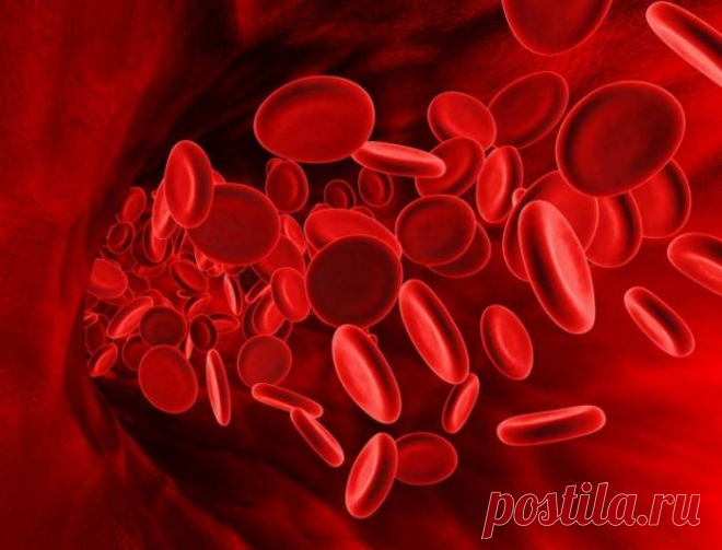 20 потрясающих фактов о человеческом совершенстве | Чёрт побери
