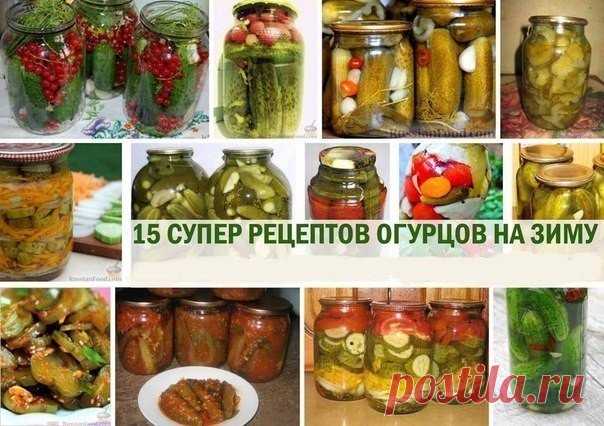 15 рецептов огурцов на зиму 

1. Консервированные огурцы с красной смородиной2. Огурцы в остром томатном соусе3. Огурцы с яблоками (маринованные и малосольные).4. Соленые огурчики на зиму.5. Маринованные огурчики с крыжовником6.…