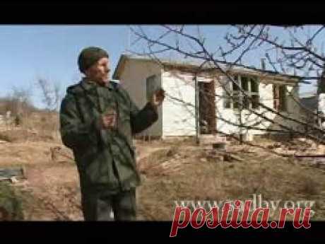 Обрезка деревьев