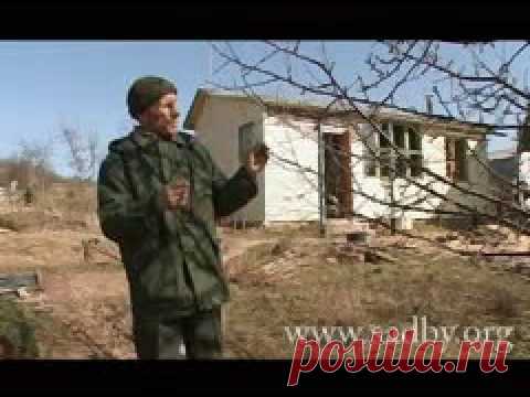 Обрезка деревьев