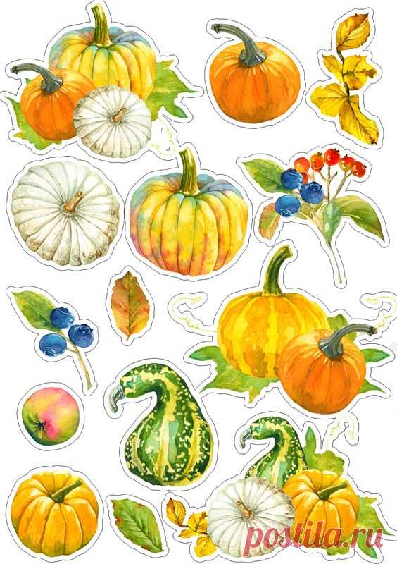 (24) Pinterest