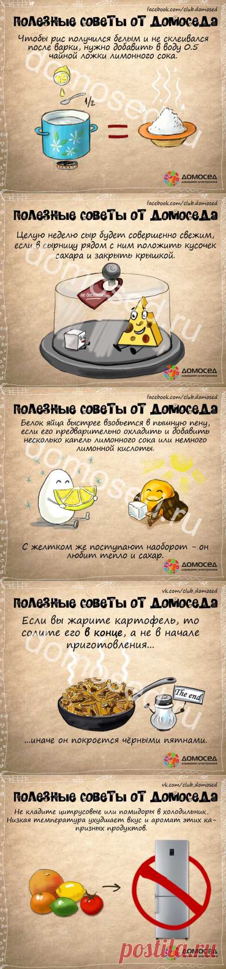 Полезные советы от Домоседа | ДОМАШНИЙ ОЧАГ