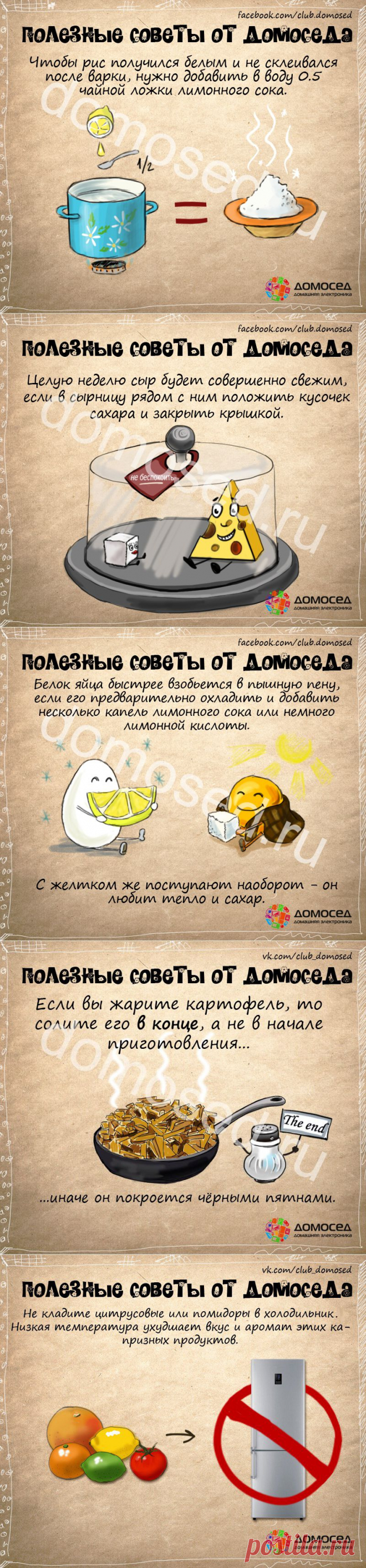 Полезные советы от Домоседа | ДОМАШНИЙ ОЧАГ