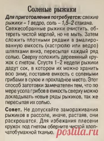 Соленые рыжики