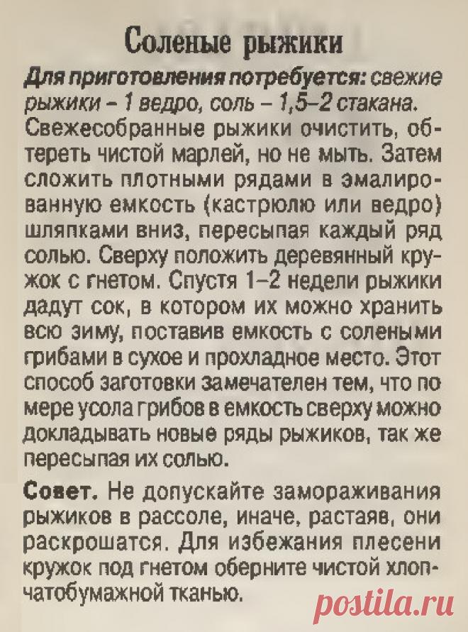 Соленые рыжики