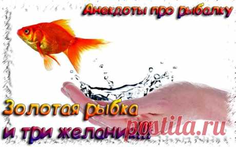 Золотая рыбка - Анекдоты про рыбалку 2020
