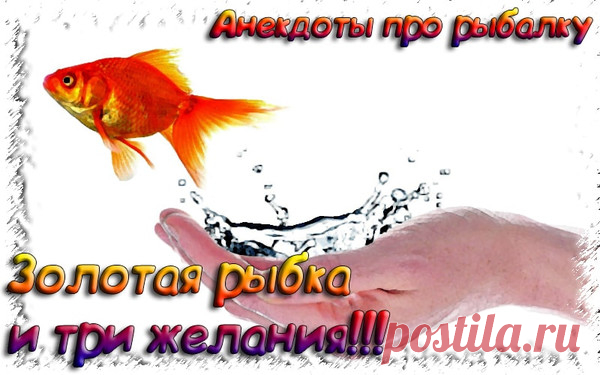 Золотая рыбка - Анекдоты про рыбалку 2020