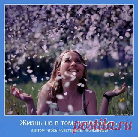 Новый выпуск 298: Самые красивые и добрые мотиваторы (32 фото)