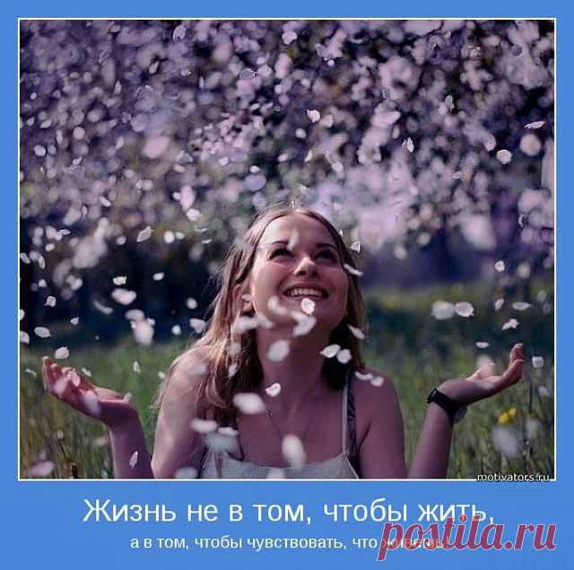 Новый выпуск 298: Самые красивые и добрые мотиваторы (32 фото)