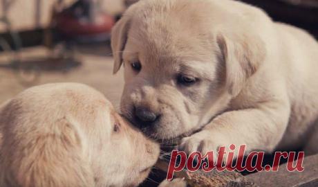 Психология отношений | Группы Мой Мир