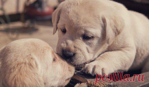 Психология отношений | Группы Мой Мир