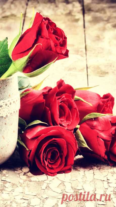 Sfondo San Valentino rose per iPhone 5