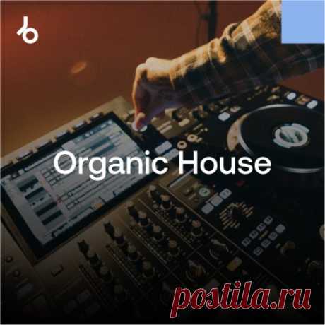 Beatport The Organic House Shortlist October 2025 » MinimalFreaks.co