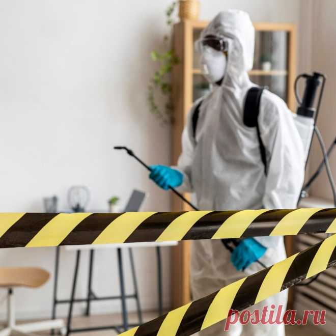 🪰 Профессиональные услуги городской санитарной службы под ключ
🧐 Большой опыт 🤩 Индивидуальный подход 💖 Приятные цены
🌍 Работаем круглосуточно, в 30 городах России 📞 +7(804)700-09-30
