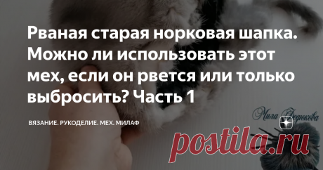 Рваная старая норковая шапка. Можно ли использовать этот мех, если он рвется или только выбросить? Часть 1 Решила провести очередной эксперимент с мехом
Доброе время суток, друзья!
Давно хотела провести эксперимент с очень старым мехом. У меня есть несколько шапок из голубой норки, ну она конечно уже далеко не голубая. Все хотела выбросить, так как мездра рвется при малейшем натягивании меха.
А если намочить её (кожеву часть), то расползается прямо в считанные секунды и от...