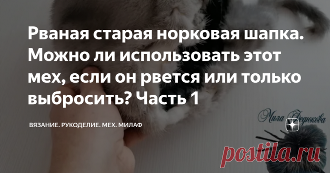 Рваная старая норковая шапка. Можно ли использовать этот мех, если он рвется или только выбросить? Часть 1 Решила провести очередной эксперимент с мехом
Доброе время суток, друзья!
Давно хотела провести эксперимент с очень старым мехом. У меня есть несколько шапок из голубой норки, ну она конечно уже далеко не голубая. Все хотела выбросить, так как мездра рвется при малейшем натягивании меха.
А если намочить её (кожеву часть), то расползается прямо в считанные секунды и от...