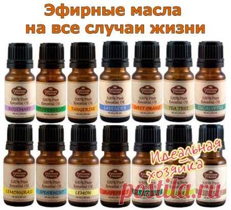 (8) Одноклассники