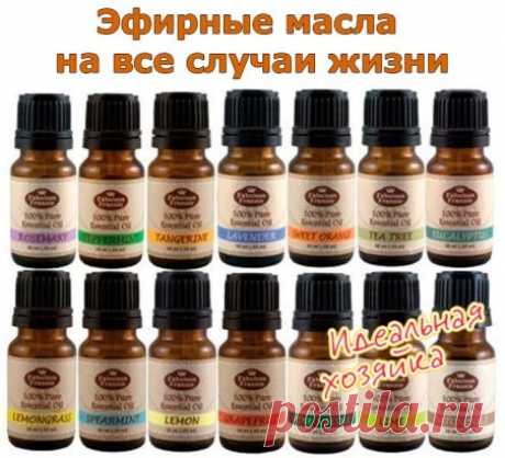 (8) Одноклассники