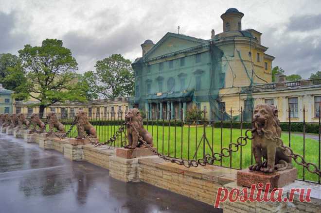 (4) Арт Петербург
