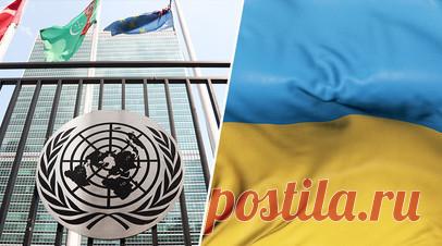 «В ущерб себе»: почему декларацию G7 о восстановлении Украины поддержали только 30 стран — членов ООН. Декларацию G7 о помощи и восстановлении Украины поддержали только 30 из 193 государств — членов ООН, свидетельствует текст документа, опубликованный на сайте Белого дома. Среди подписантов — страны ЕС, США, Британия, Япония и Канада. В документе говорится о намерении продолжать военную, бюджетную и гуманитарную поддержку Киева и удовлетворять его неотложные финансовые нужды. Также…