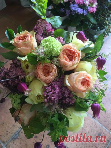 флористика