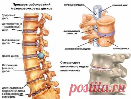 Чтобы дольше жить, нужно чаще наклонится!