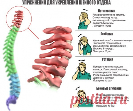 Комплекс упражнений для укрепления позвоночника