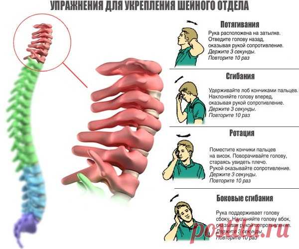 Комплекс упражнений для укрепления позвоночника