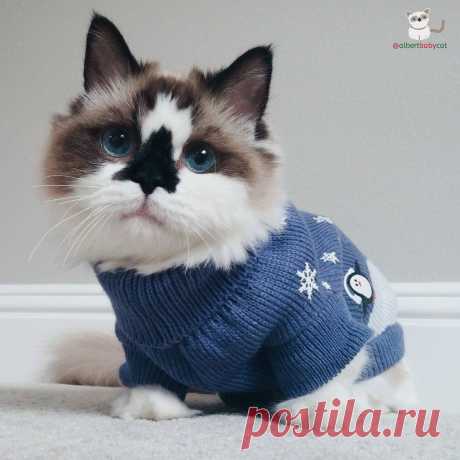 х.
