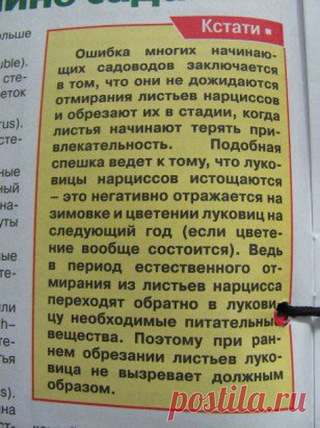 * * * * * * * * * * * *