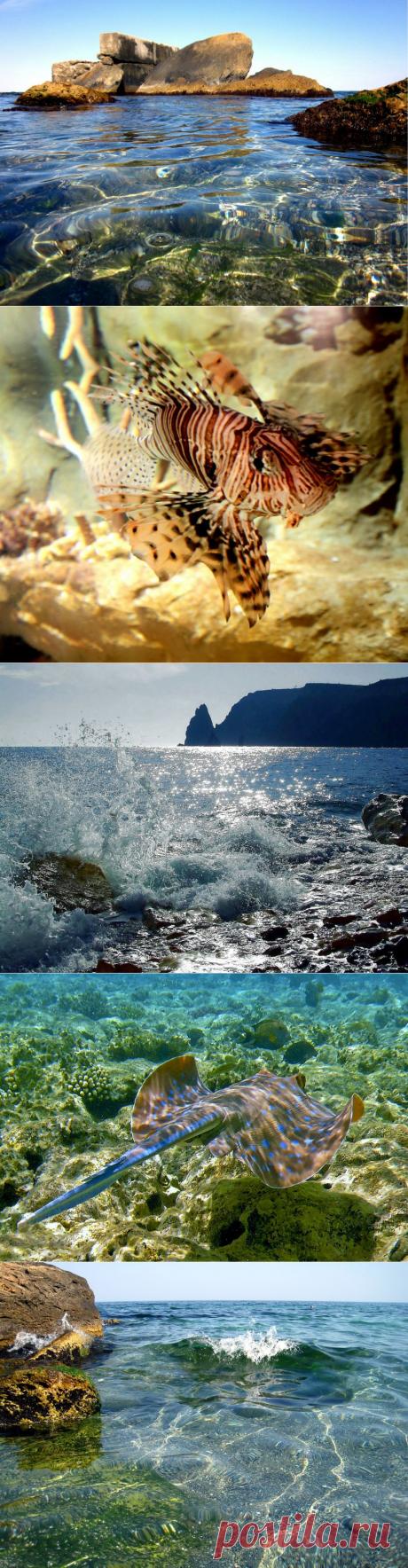 «Небо хочет быть прекрасным, море хочет быть - как небо!»