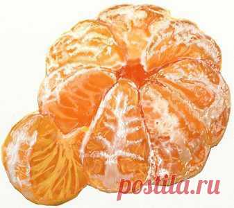 Рисуем мандарин