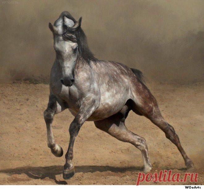 ‫Фото Хроники - الفنون الجمبلة - Middle East Fine Arts‬