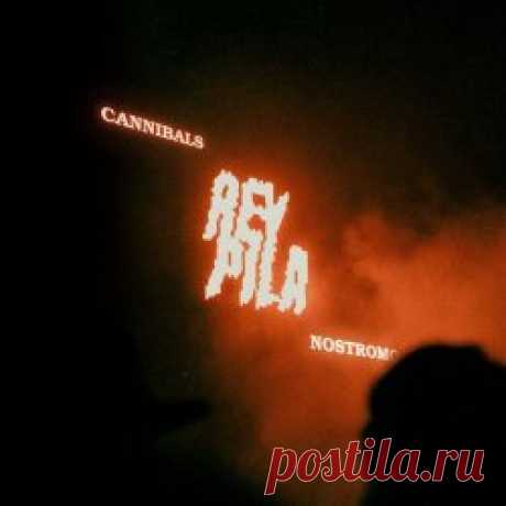Rey Pila - Cannibals / Nostromo (2025) [Single] Artist: Rey Pila Album: Cannibals / Nostromo Year: 2025 Country: Mexico Style: Synthpop, Indie Rock, New Wave