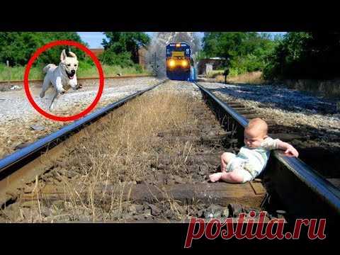 ЕСЛИ БЫ НЕ СНЯЛИ НИ КТО БЫ НЕ ПОВЕРИЛ.