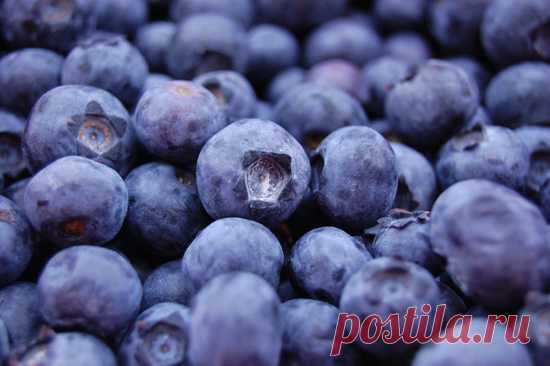 10 продуктов, которые могут сделать вас моложе 



Вы действительно можете решить множество проблем со здоровьем организма, просто начав есть правильные продукты. Чистое и сбалансированное питание способно избавить вас от множества неприятностей, …