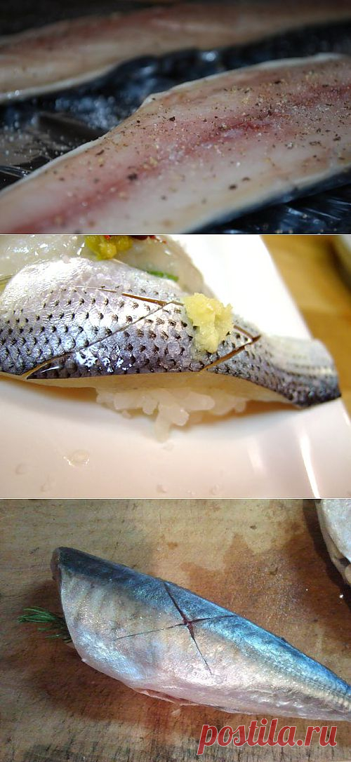 Как посолить вкусно скумбрию в домашних условиях - FB.ru