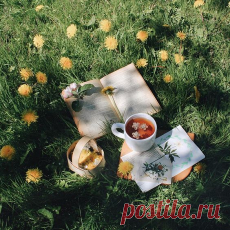Утро было тихое, город, окутанный тьмой, мирно нежился в постели. Пришло лето, и ветер был летний – теплое дыхание мира, неспешное и ленивое. Стоит лишь встать, высунуться в окошко, и тотчас поймешь: вот она начинается, настоящая свобода и жизнь, вот оно, первое утро лета.

"Вино из одуванчиков"