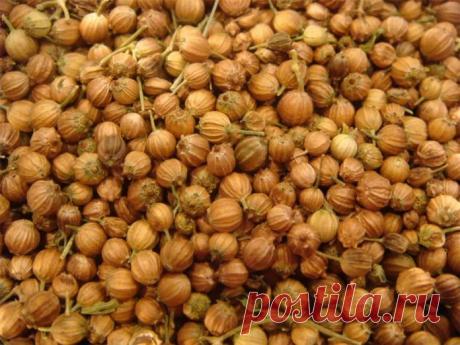 Как перегрузить щитовидную железу с семенами кориандра всего за 8 дней
Вы устали от проблем со щитовидной железой? Мы предлагаем естественное решение, которое удалит все ваши проблемы. Прежде чем мы доберемся до этого, вы действительно знаете важность своей щитовидной железы? Эта железа чрезвычайно важна для нашего организма Она участвует во многих метаболических процессах в организме. Она...
Читай пост далее на сайте. Жми ⏫ссылку выше