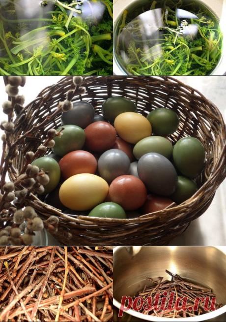 Русская кухня. - Натуральные красители для пасхальных яиц.