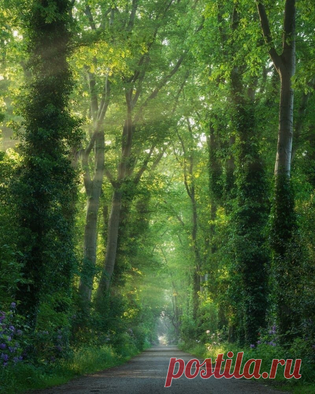 i (800×1000)