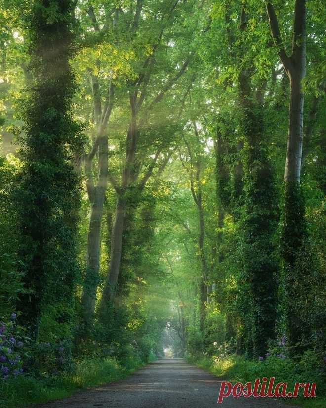 i (800×1000)