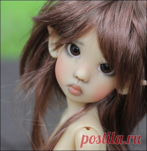 Найдено на сайте bjdcollectasy.com.