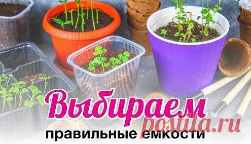 Рассадные ящики, в которые так удобно высевать семена томатов, совершенно не подходят для выращивания огурцов? То же самое касается и остальных рассадных емкостей. Каждая подходит для выращивания лишь определенных видов растений. 
РАССАДНЫЕ ЯЩИКИ.
Они являются временным «домом» для растений. На определенном этапе сеянцы нужно будет сначала проредить, а потом пересадить в отдельные емкости. Поэтому ящики лучше не использовать для культур, которые плохо переносят пикировку (баклажаны, перец, огур
