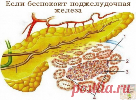 (1) Одноклассники