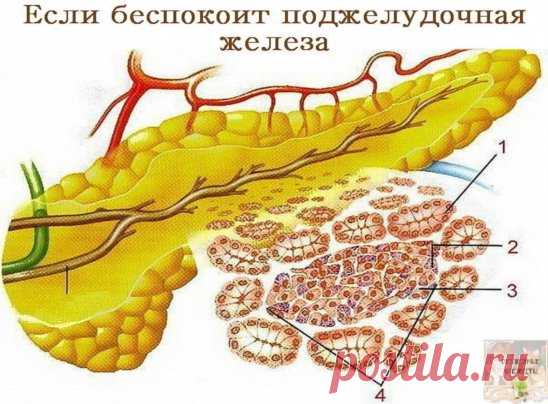(1) Одноклассники