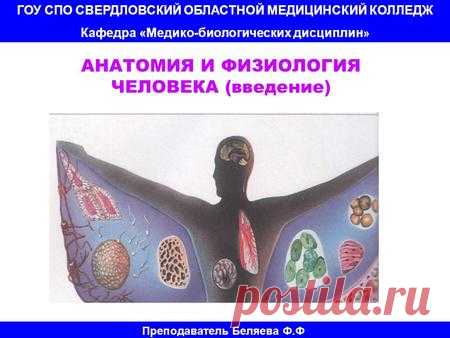 АНАТОМИЯ И ФИЗИОЛОГИЯ ЧЕЛОВЕКА